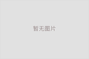 無刷減速剎車電機TCL2838-B-PG28